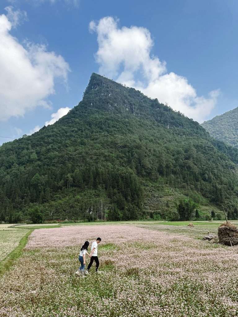 Hà Giang mùa tam giác mạch