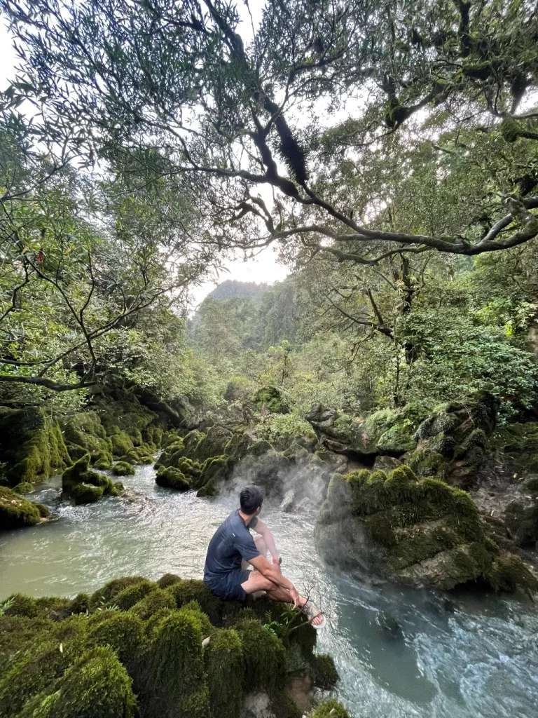 Dòng suối rêu phong phủ kín