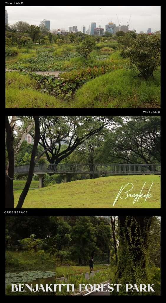 Hệ sinh thái tại Benjakitti Forest Park - Hành trình nghệ thuật tại Bangkok