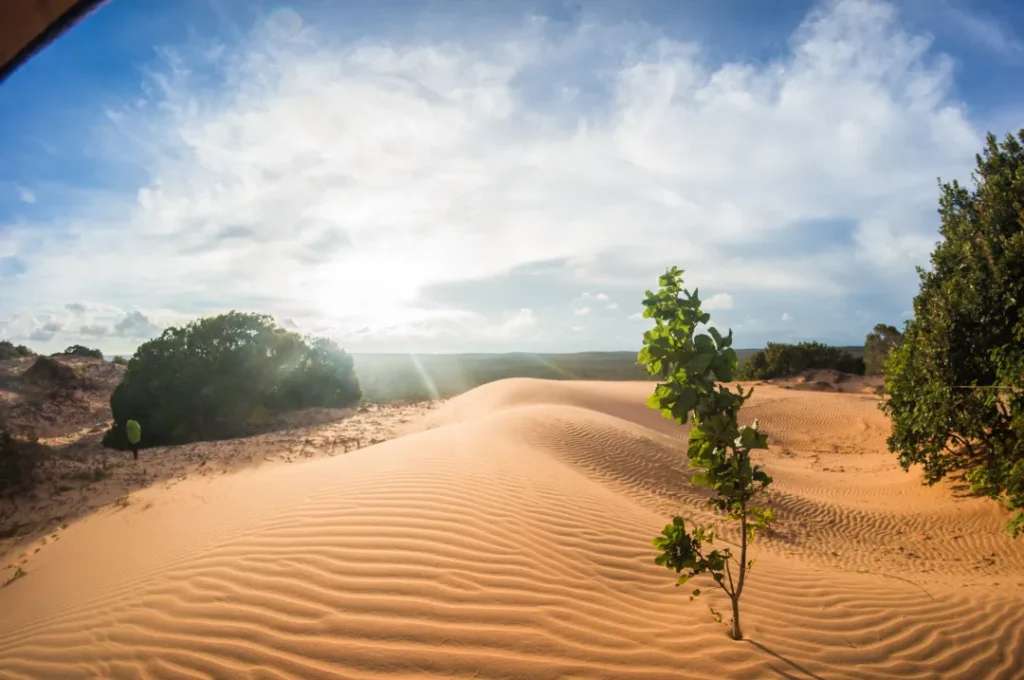 Những đường “sóng cát” mềm mại vì chuyển động của gió, cát trên sa mạc - Đồi cát du lịch Hòa Thắng 