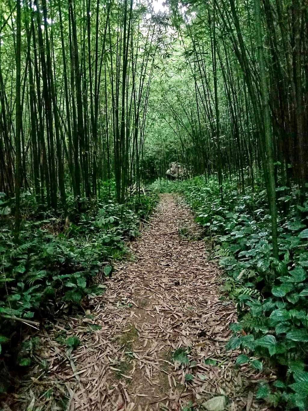 hiking làng nguyên thủy