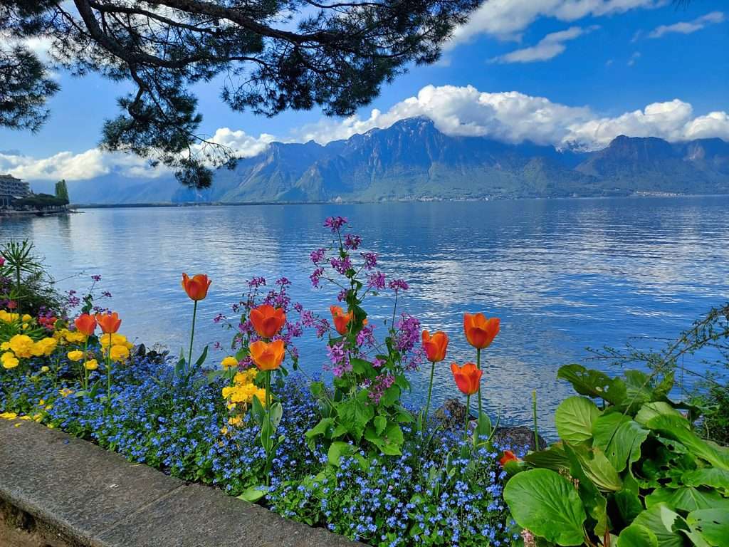 hồ geneva montreux thụy sĩ