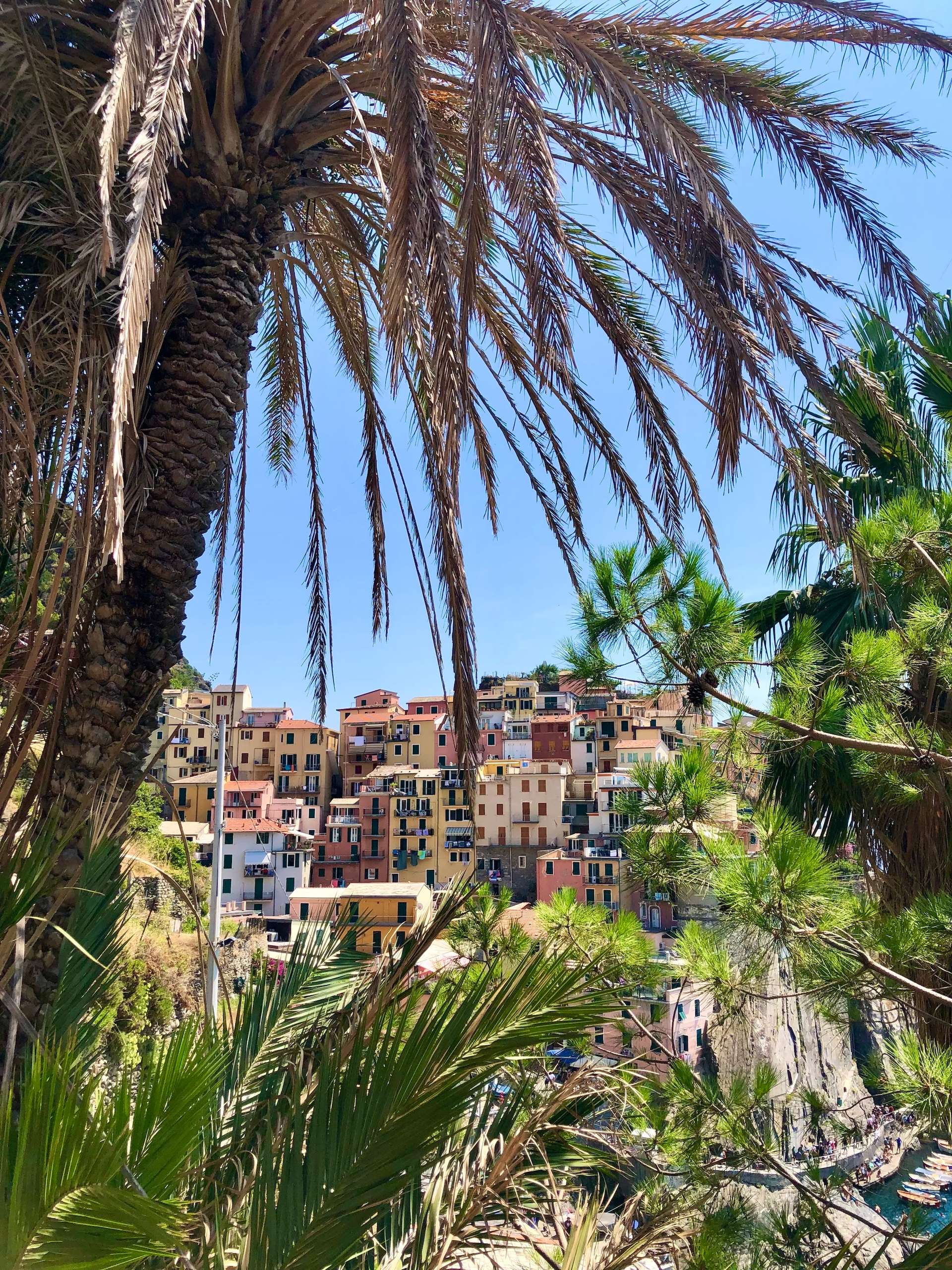 Làng Manarola Cinque Terre