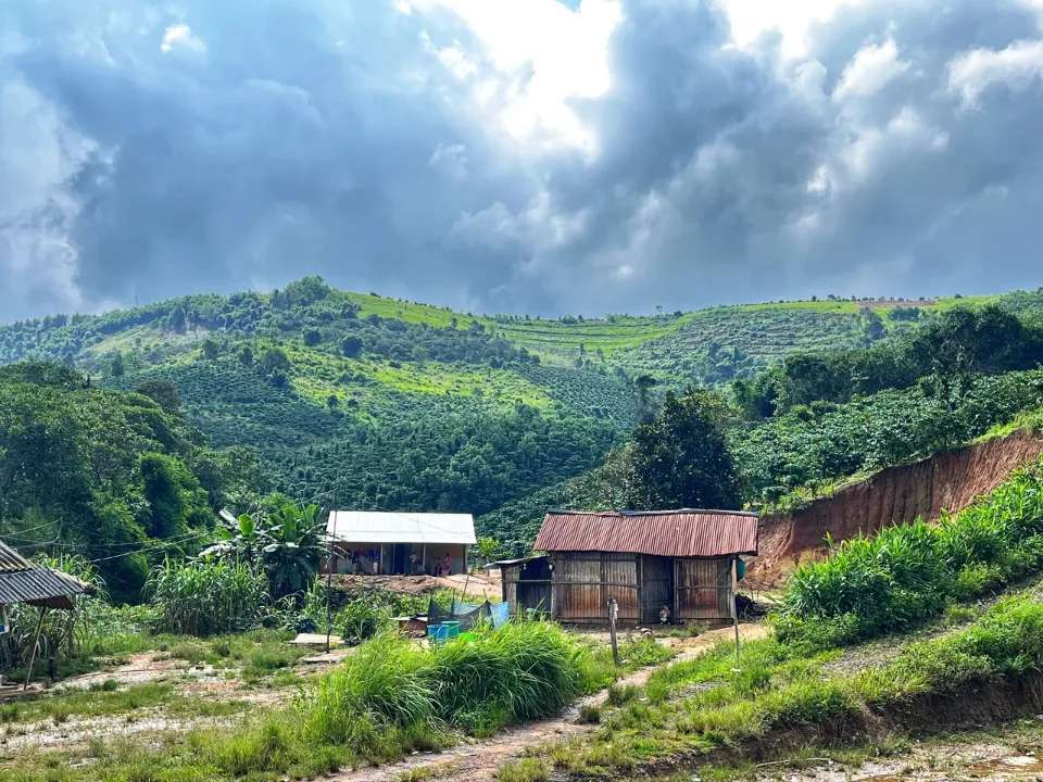 Ngôi nhà nhỏ có tới 7, 8 đứa con