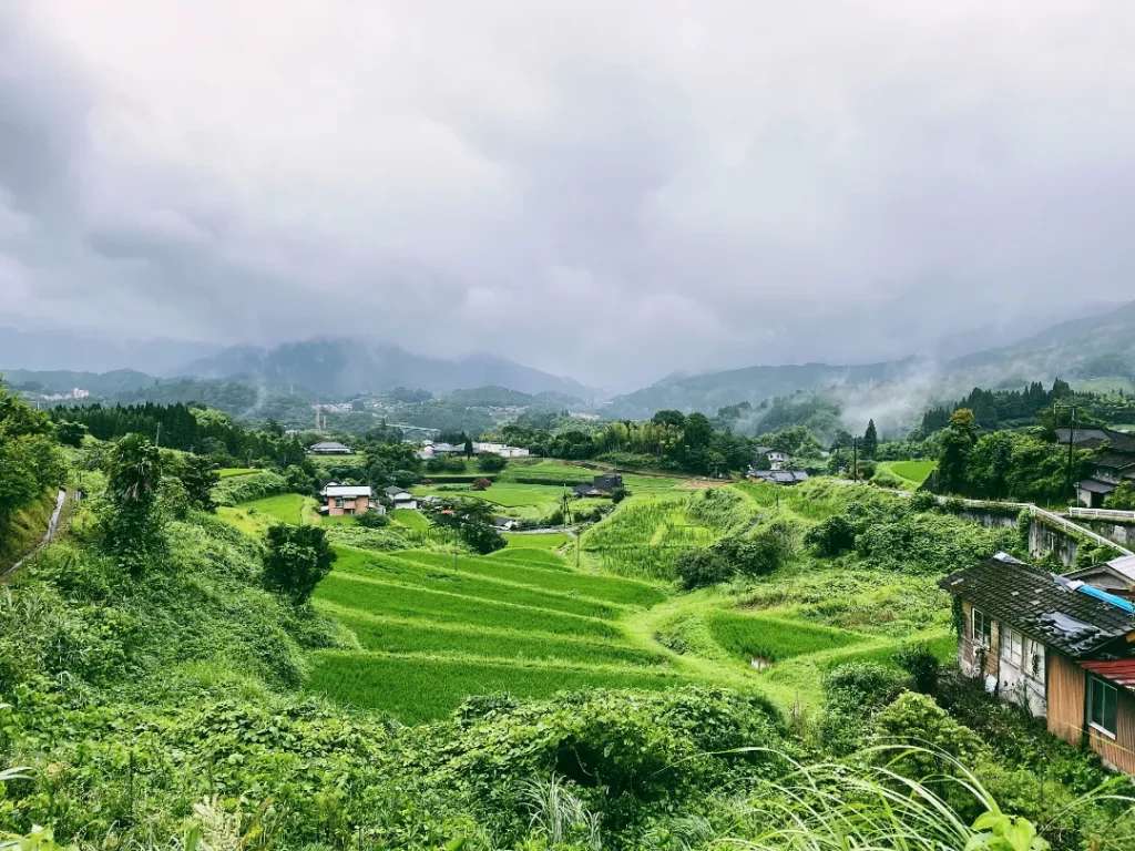 Ruộng bậc thang trong khung cảnh có phần u ám ngày mưa 