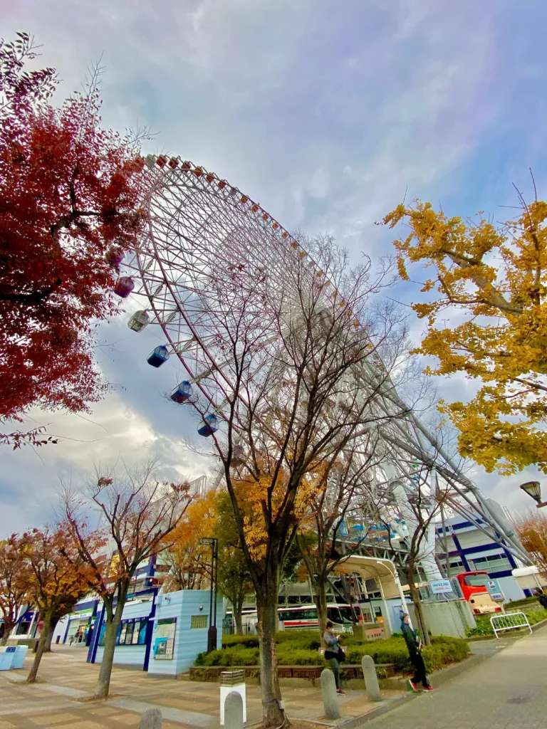 Vòng xoay khổng lồ nhìn từ dưới chân hòa sắc với lá đỏ lá vàng mùa thu tạo nên một khung cảnh lãng mạn tuyệt đối - Khám phá vịnh Osaka