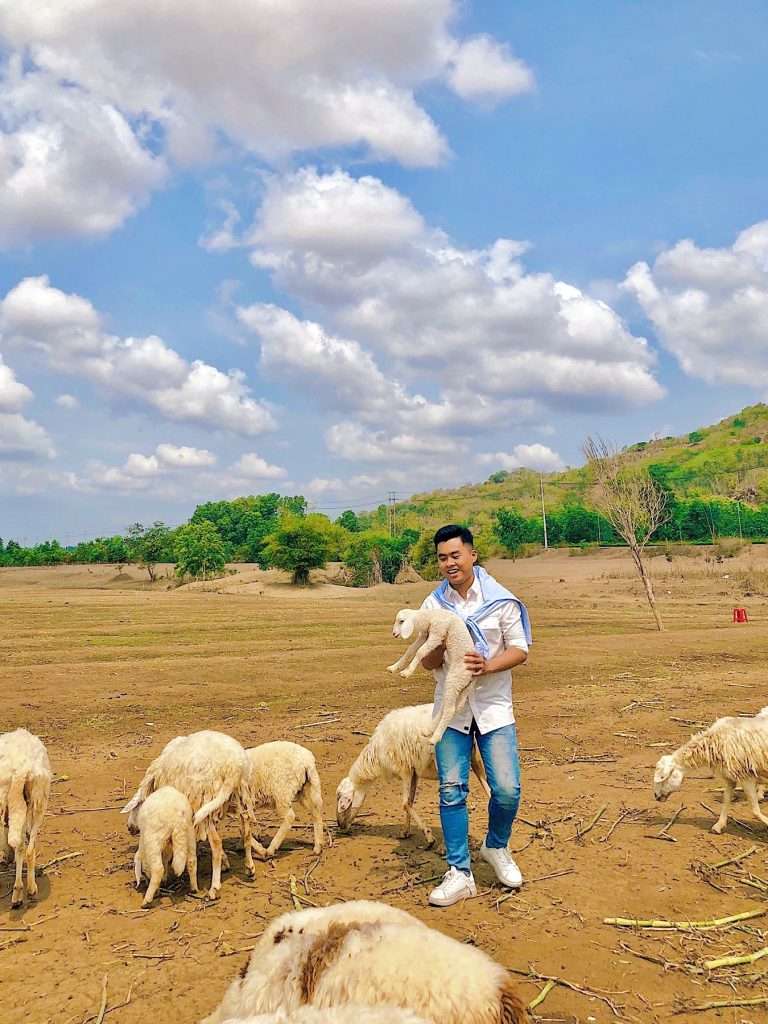 Chơi đùa cùng những cục bông trắng muốt đáng yêu - Khám phá Vũng Tàu