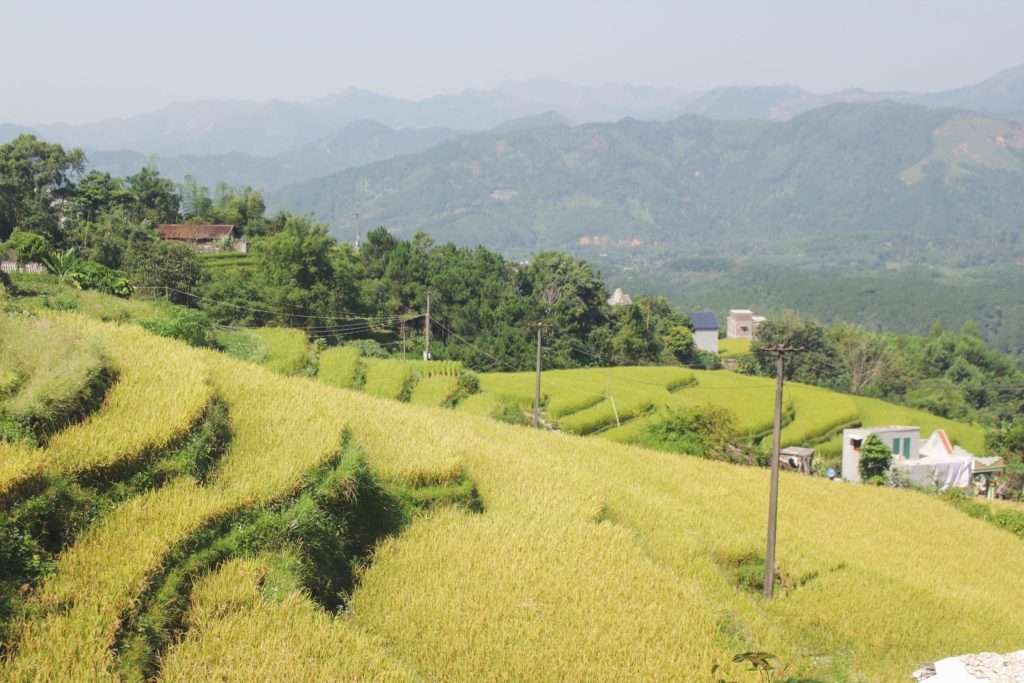 kinh nghiệm đi Bình Liêu