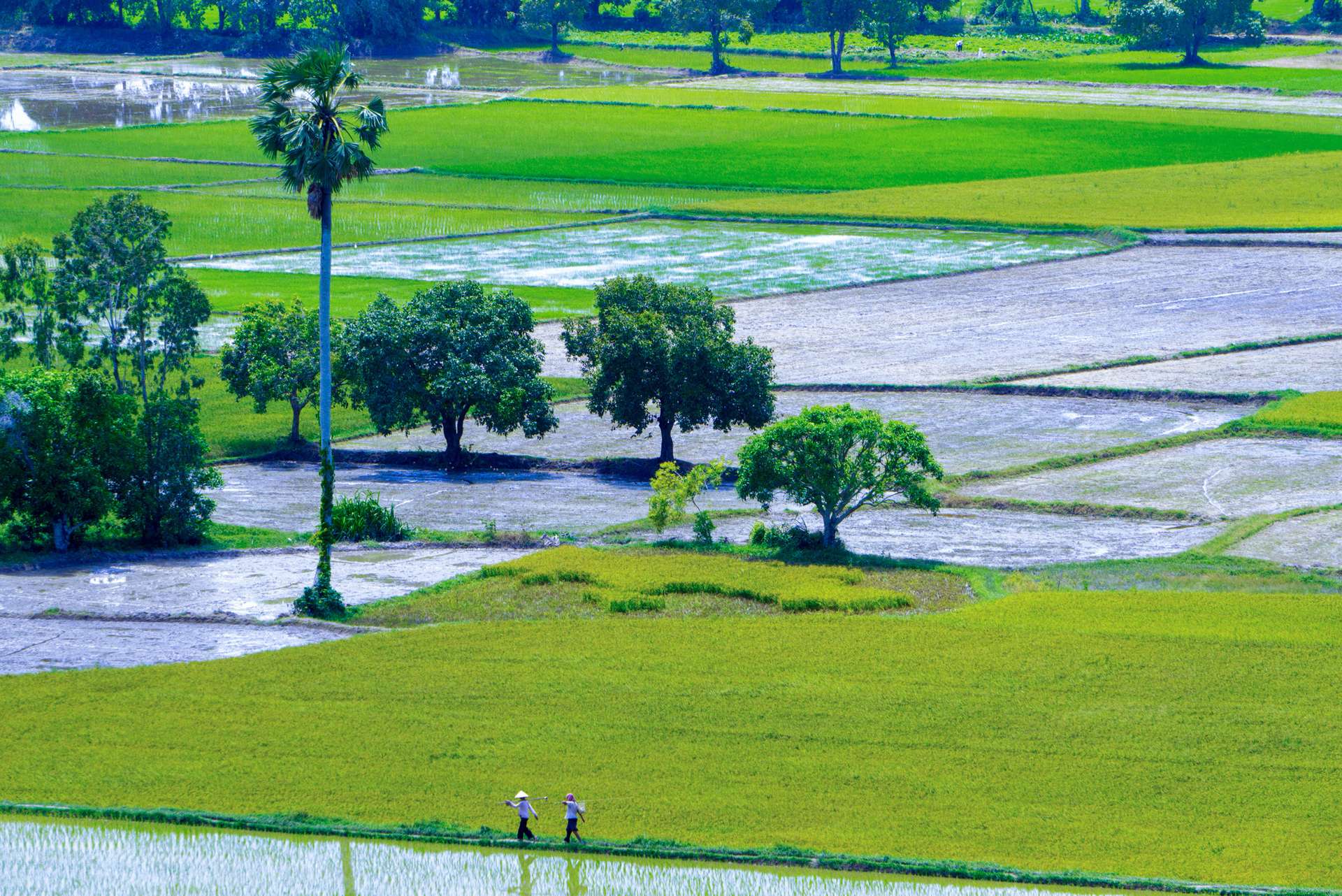 kinh nghiệm du lịch An Giang