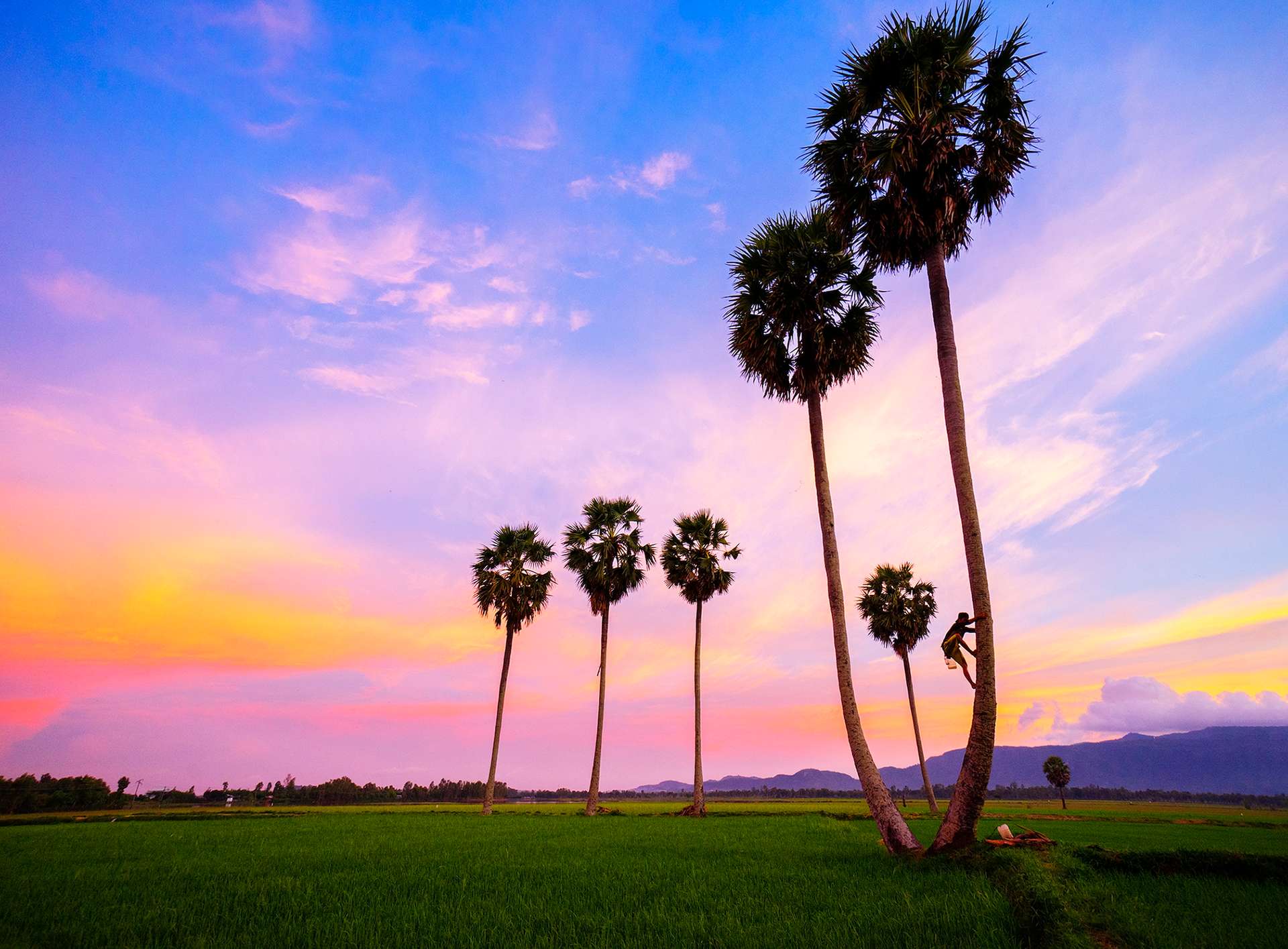 kinh nghiệm du lịch An Giang