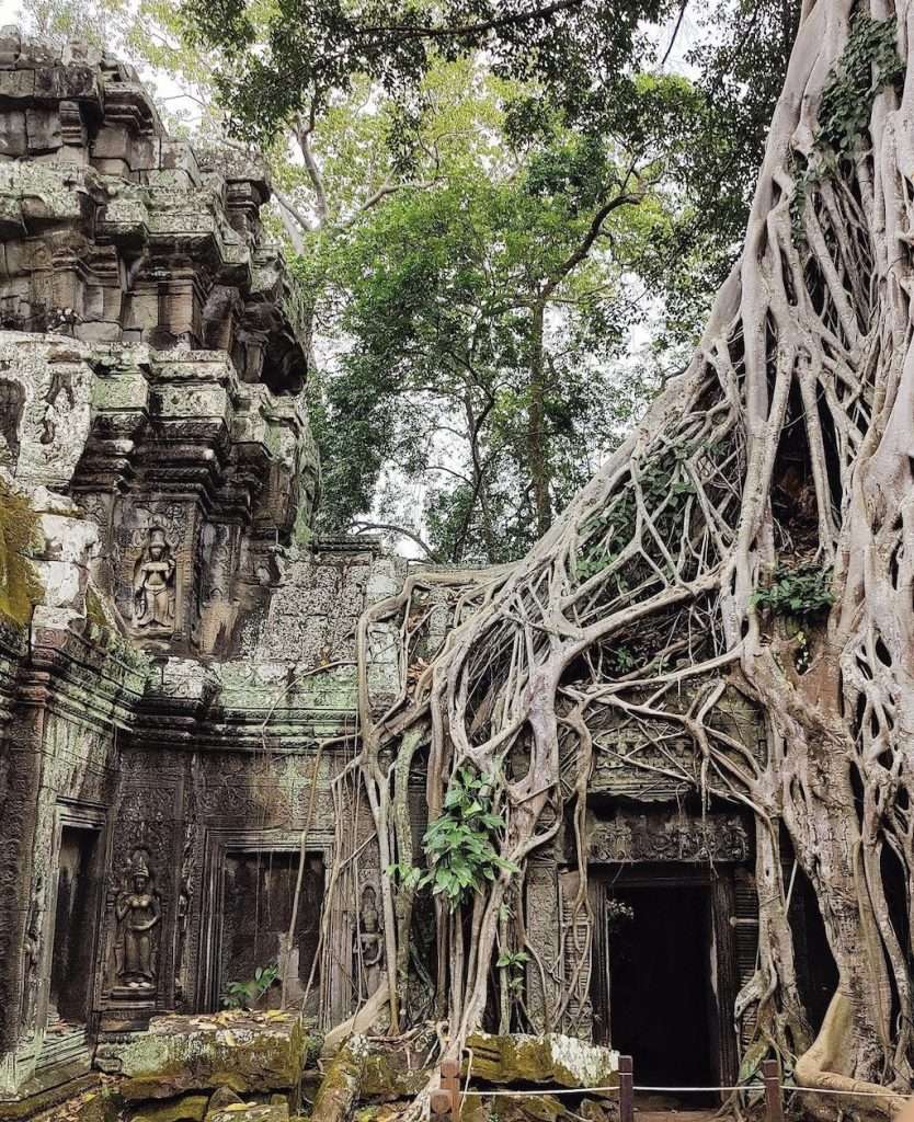 Đền Ta Prohm