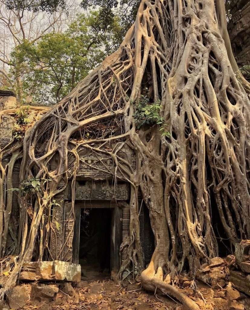 du lịch Angkor Wat