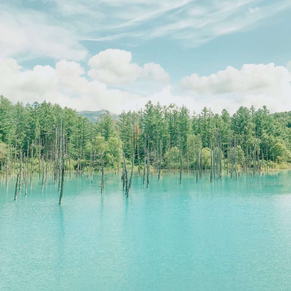 kinh nghiệm du lịch hokkaido