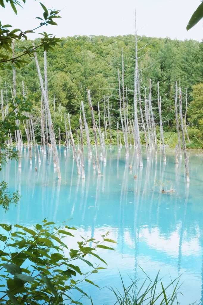 kinh nghiệm du lịch hokkaido