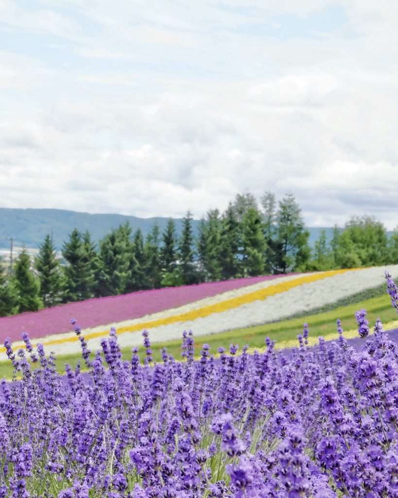 kinh nghiệm du lịch hokkaido