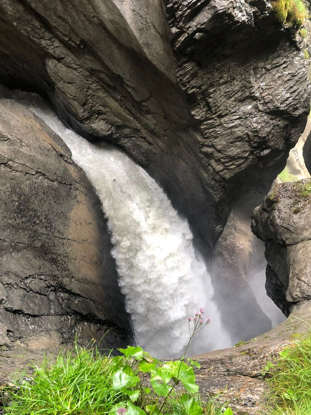 kinh nghiệm du lịch interlaken