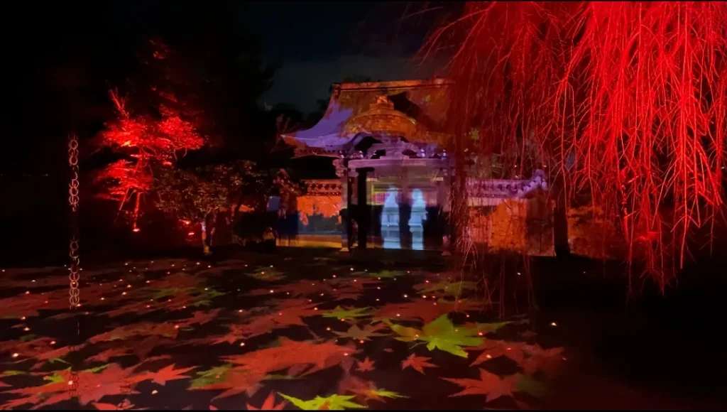 Red leaves Illuminated tại chùa Kodaiji - Kyoto vào buổi tối