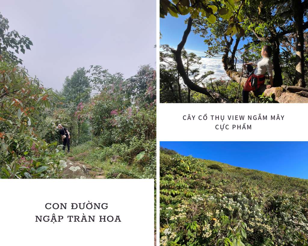 trekking Nhìu Cồ San