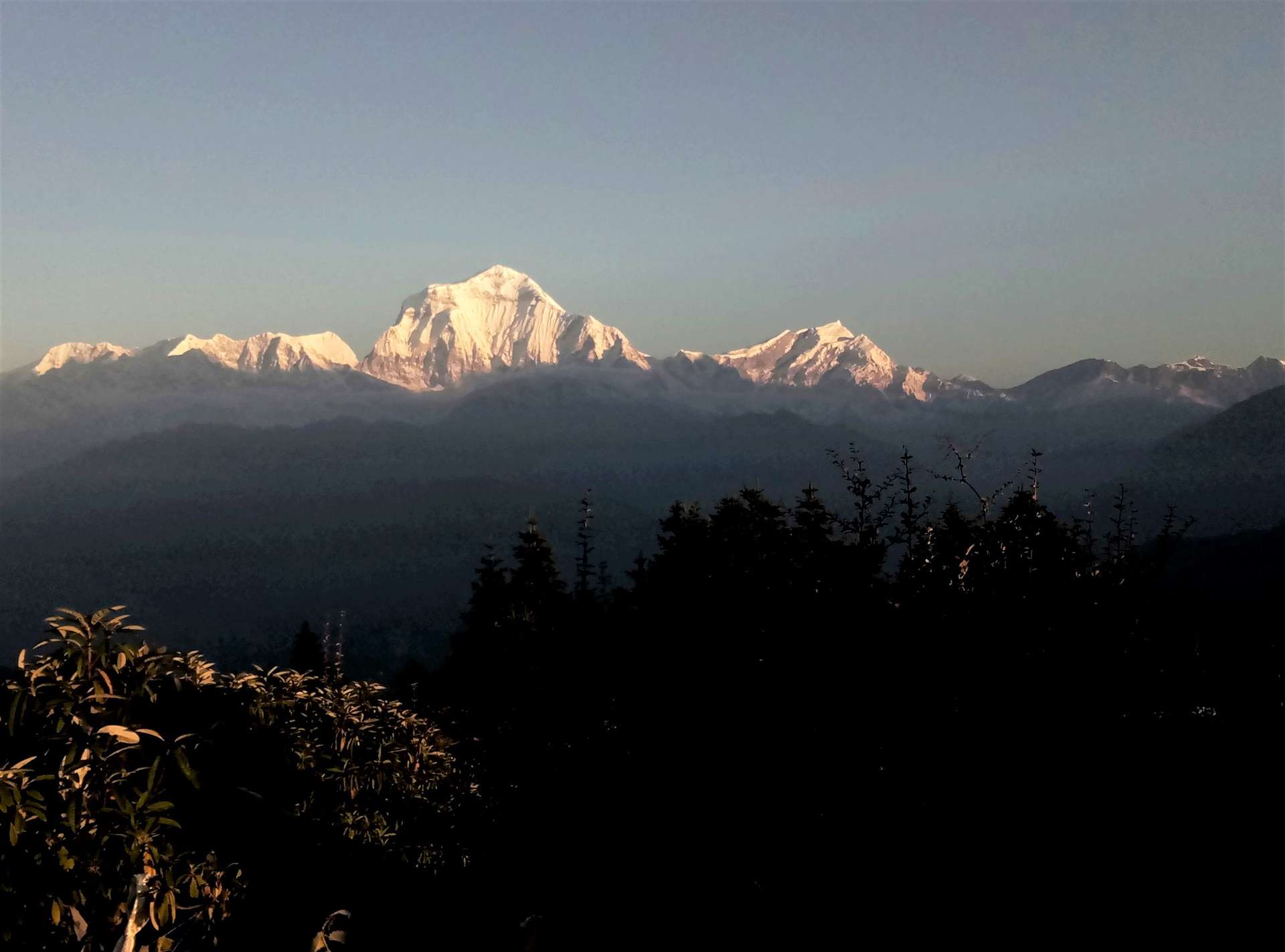 kinh nghiệm trekking Poon Hill