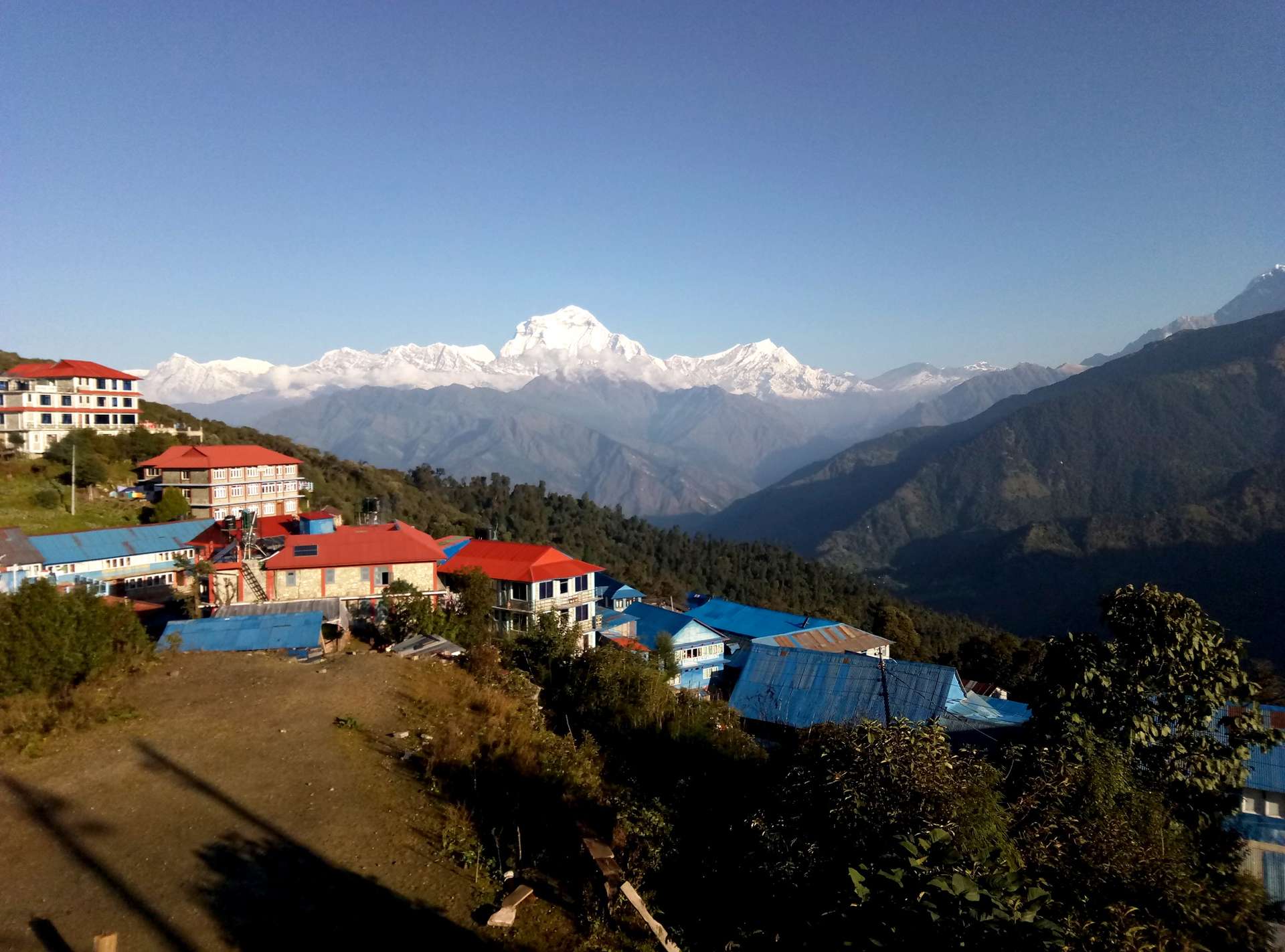 kinh nghiệm trekking Poon Hill