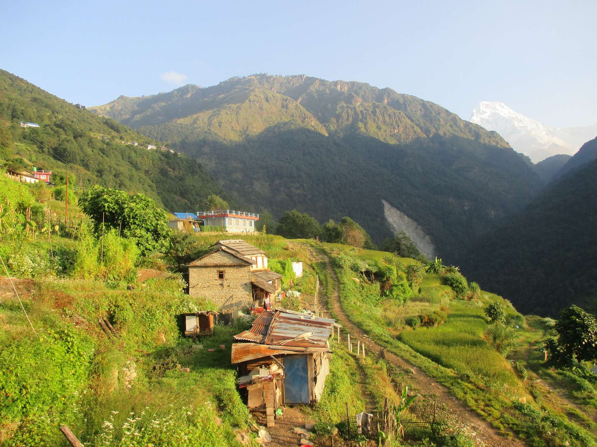 kinh nghiệm trekking Poon Hill