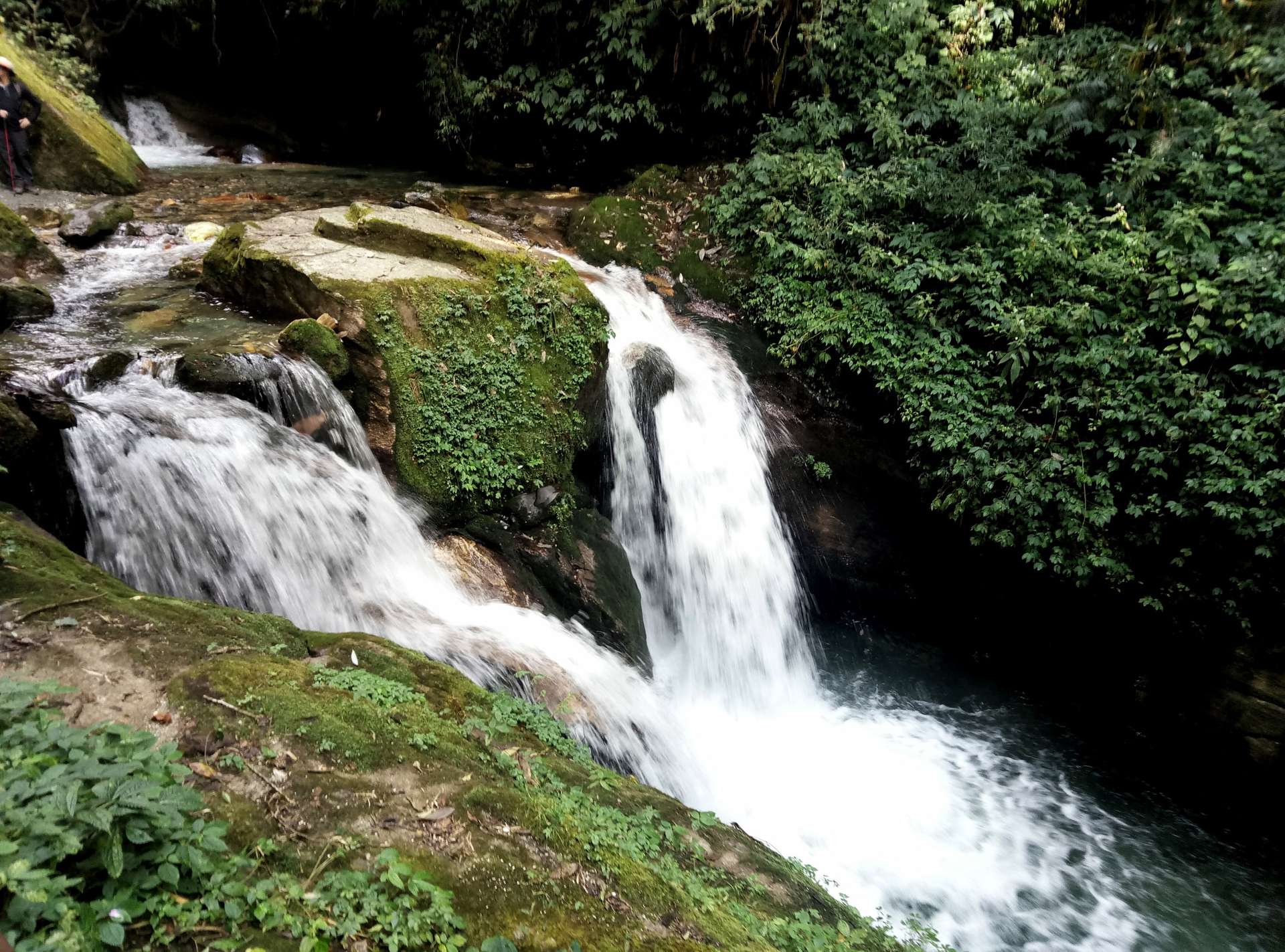 kinh nghiệm trekking Poon Hill