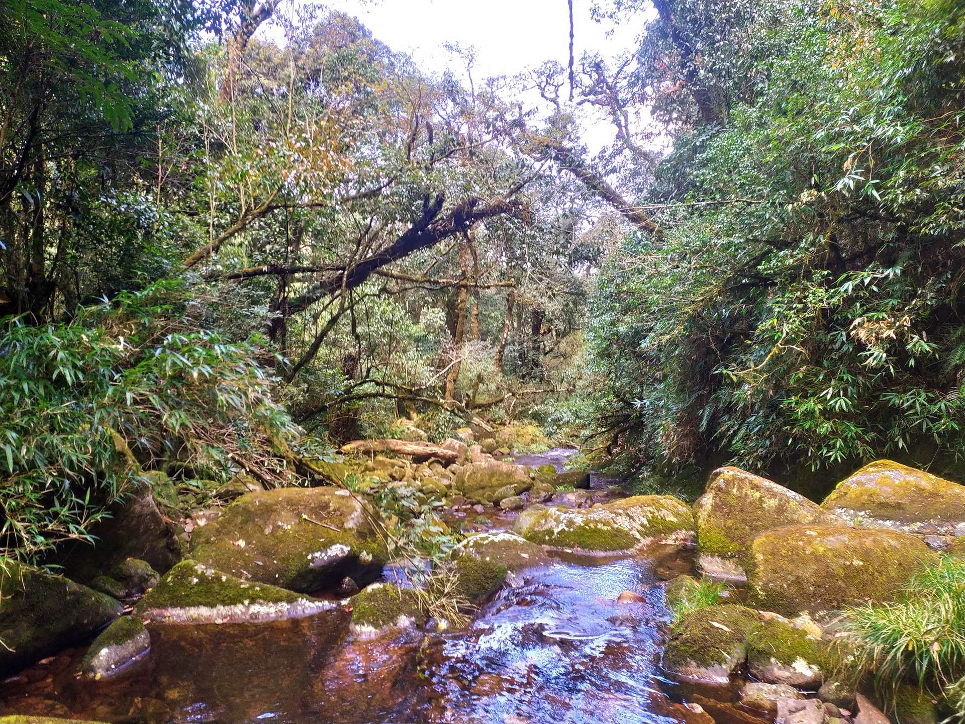 kinh nghiệm trekking putaleng