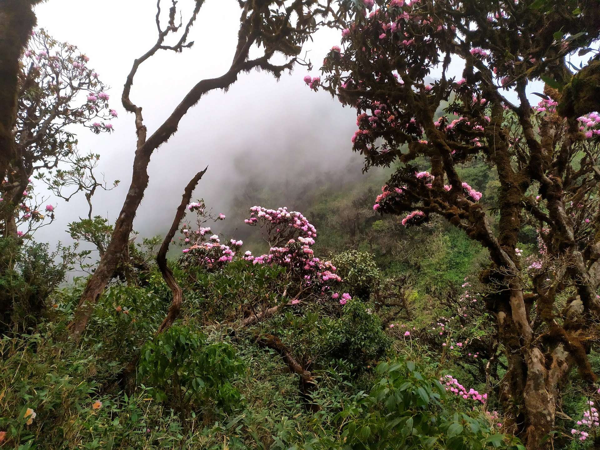 kinh nghiệm trekking putaleng