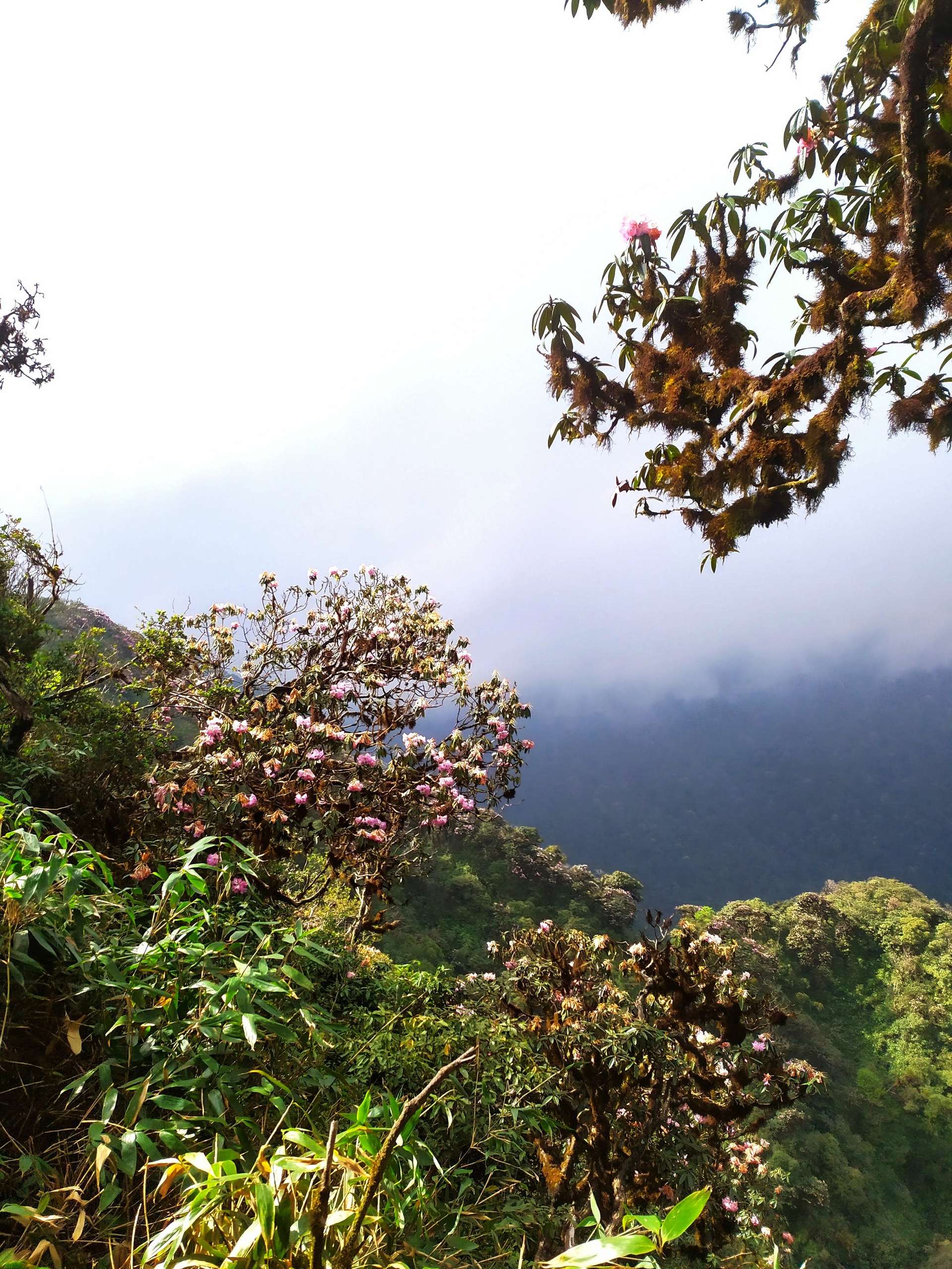 kinh nghiệm trekking putaleng