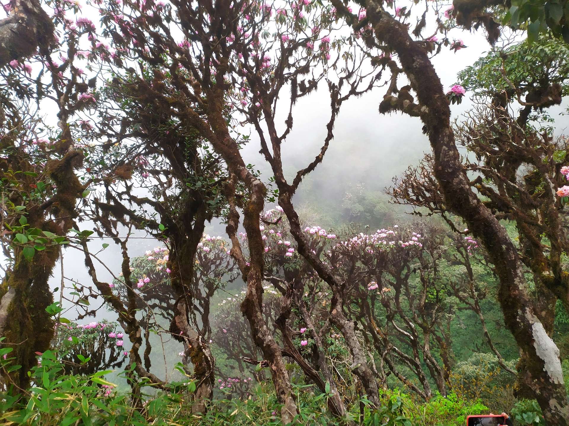 kinh nghiệm trekking putaleng