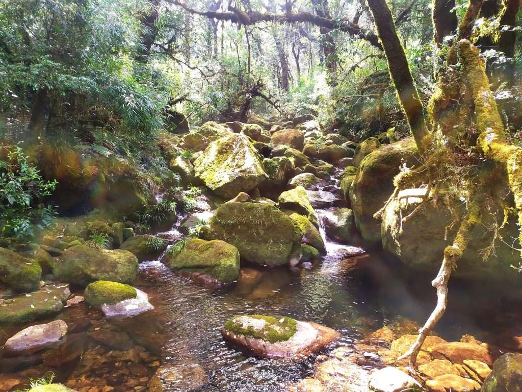 kinh nghiệm trekking putaleng