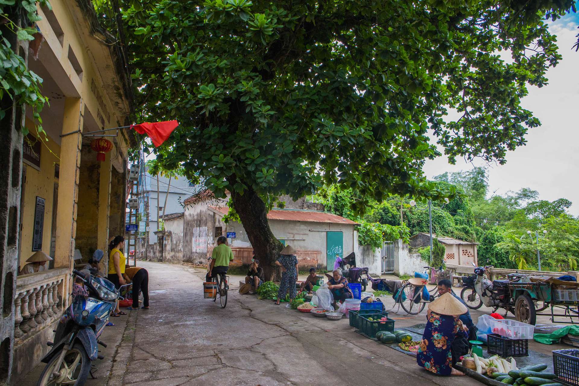 làng Cựu