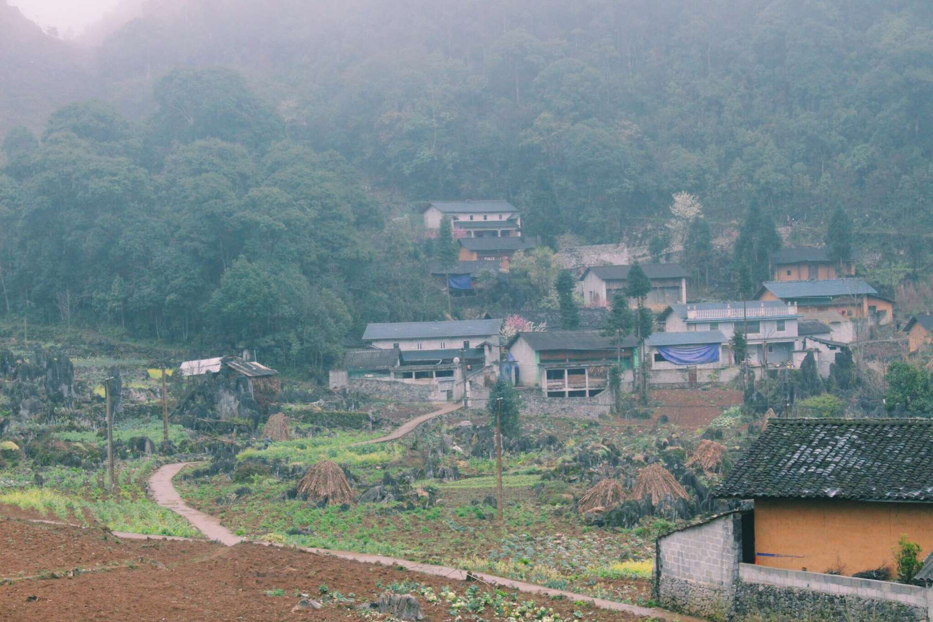 Lao Xa mùa xuân