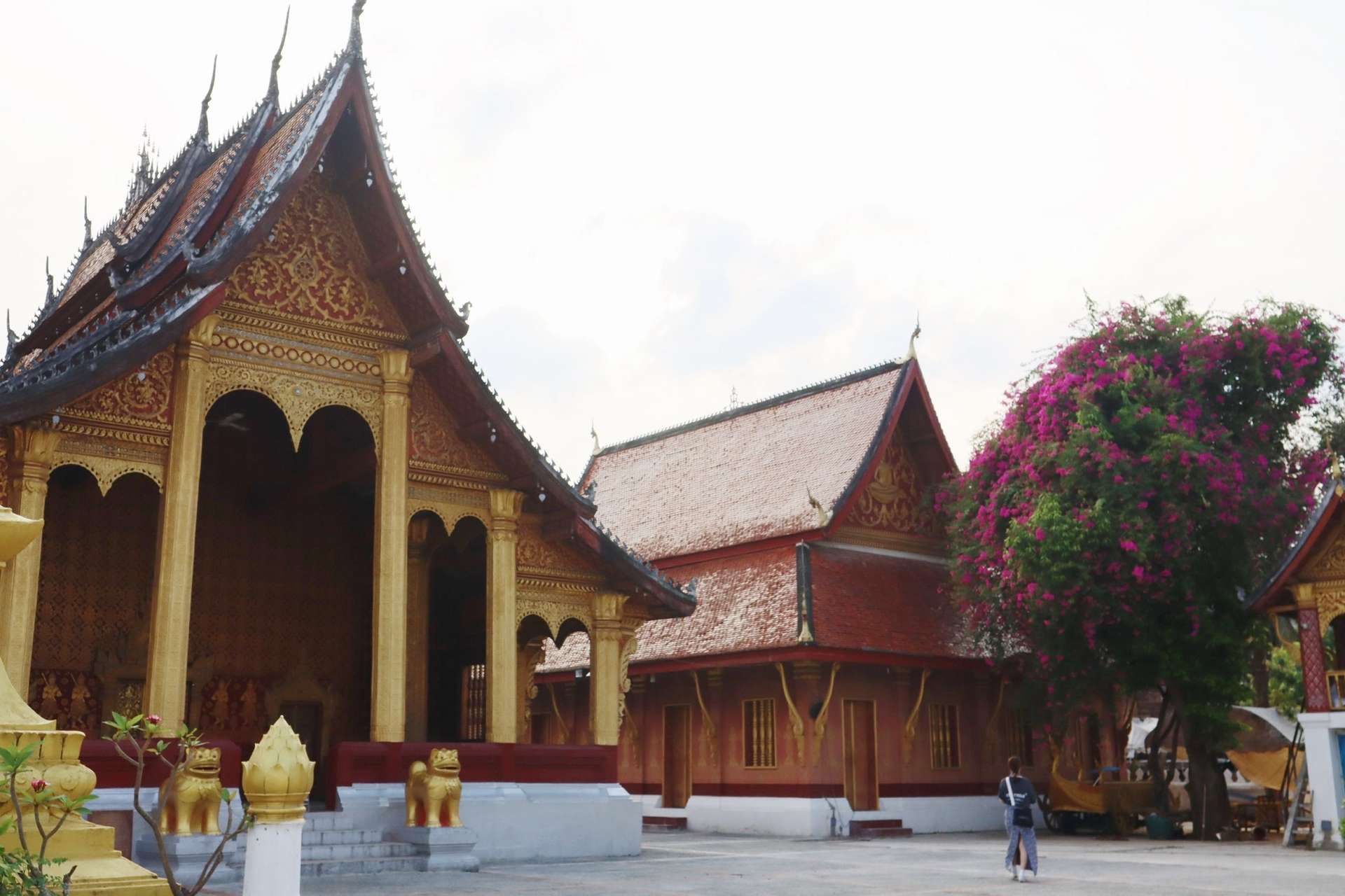 lễ khất thực Luang Prabang