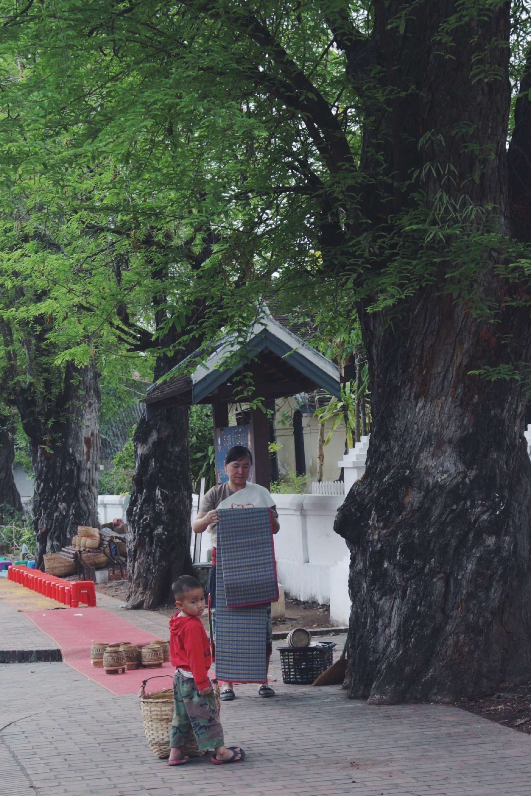 lễ khất thực Luang Prabang