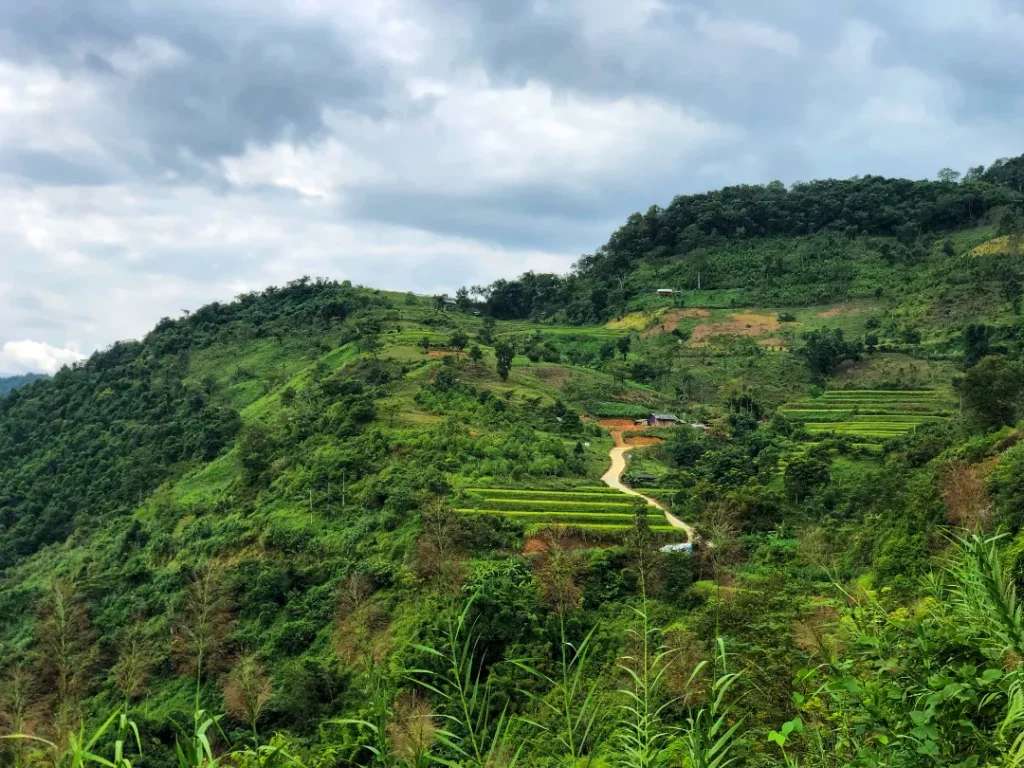 Ruộng bậc thang Hồng Thái hầu như đều nằm cạnh con đường lớn