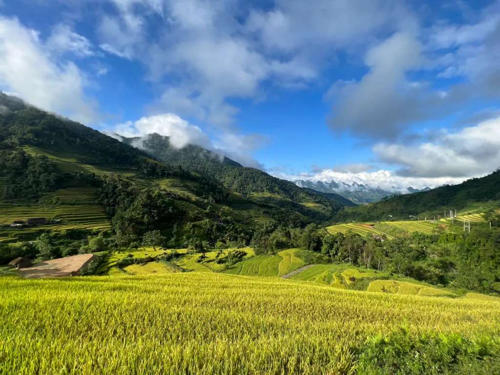 Ruộng bậc thang ở Xà Phìn vào một ngày nắng trong, trời xanh rất đẹp