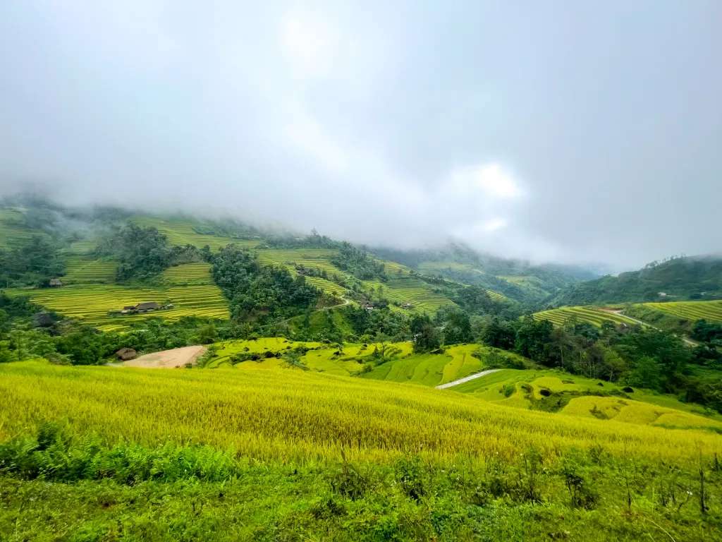 Hà Giang mùa lúa chín