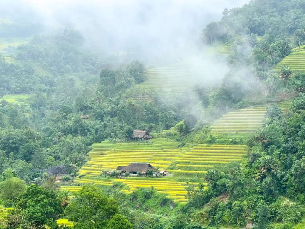 Hà Giang mùa lúa chín