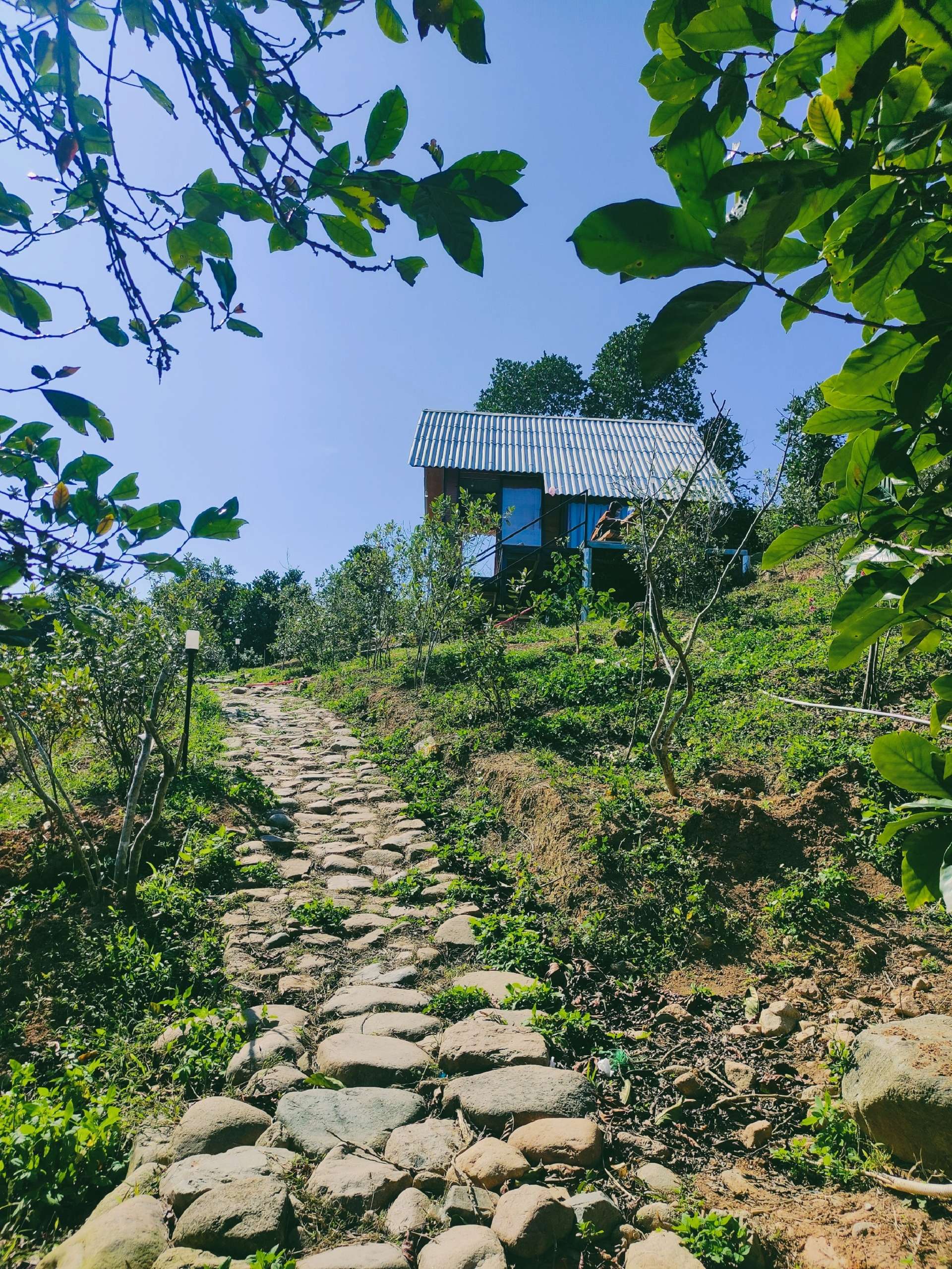 năm mùa Bungalow Quảng Trị