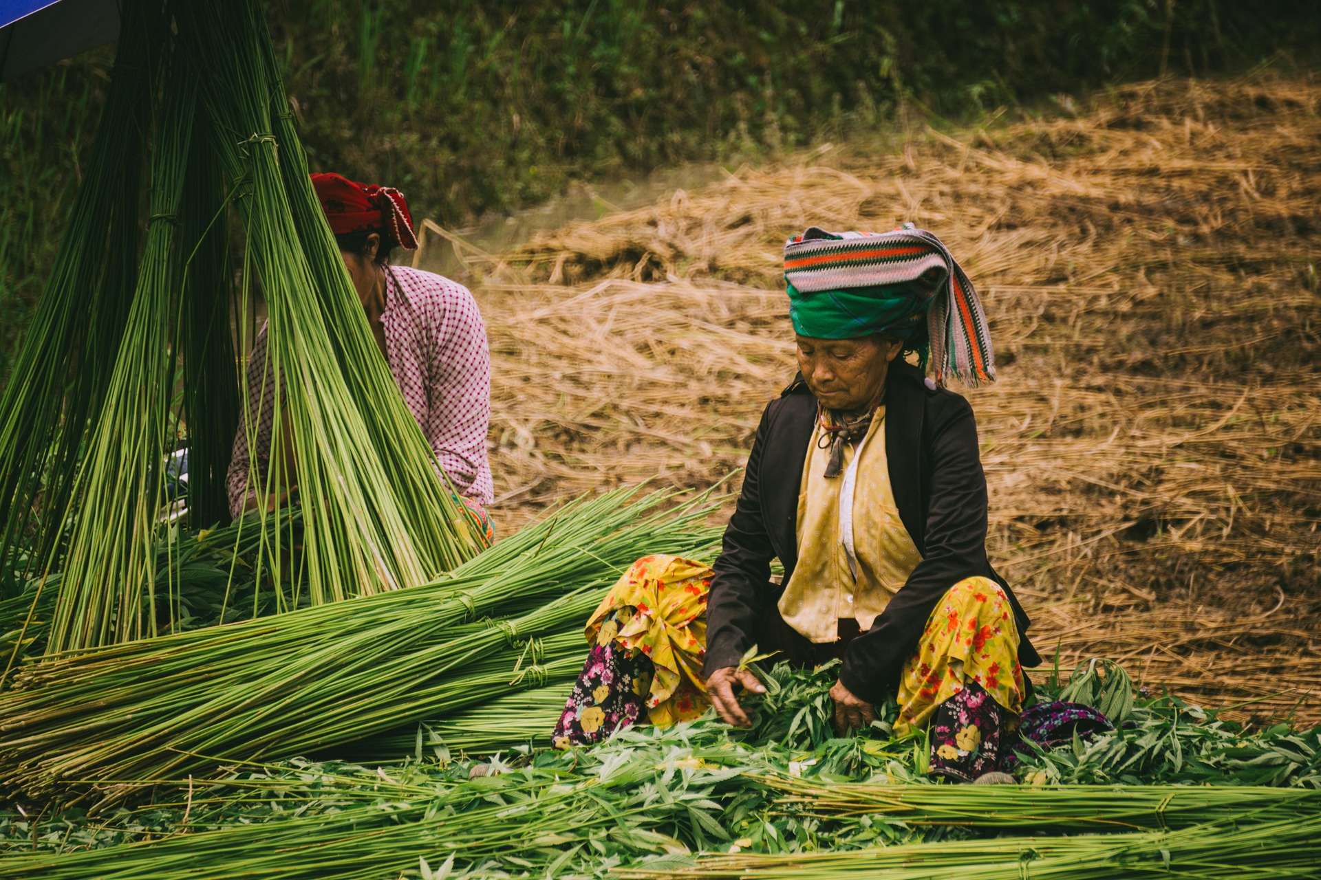 nghề dệt lanh Hà Giang