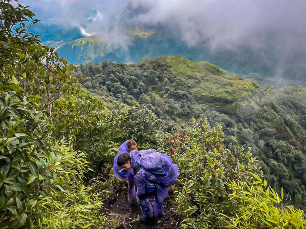 Nhìu Cồ San mùa thay lá