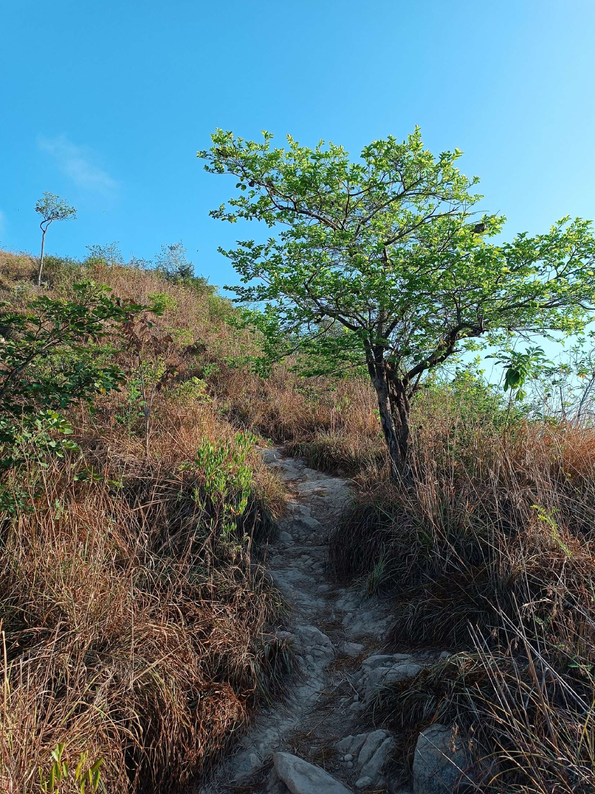 núi cô tiên nha trang