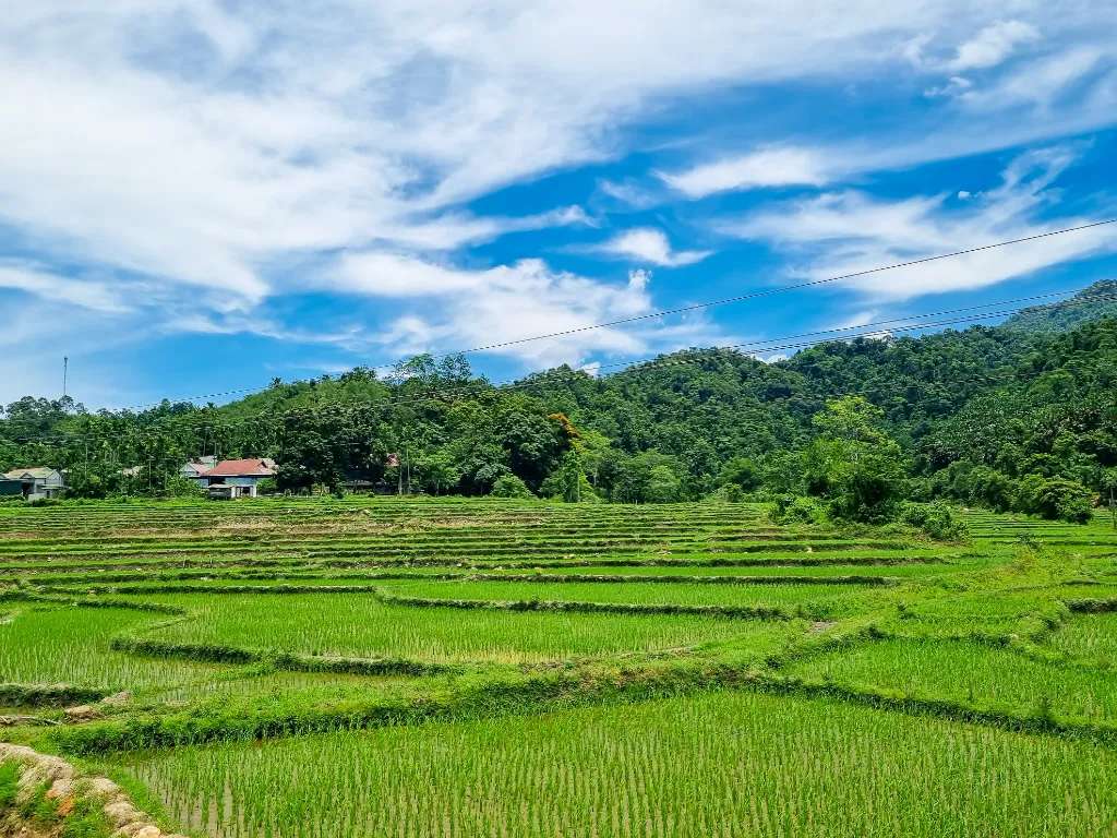 Những đám ruộng bậc thang trong các bản làng