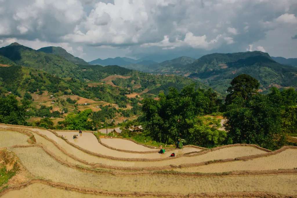 Ngẩn ngơ trước vẻ đẹp ruộng bậc thang Hoàng Su Phì 