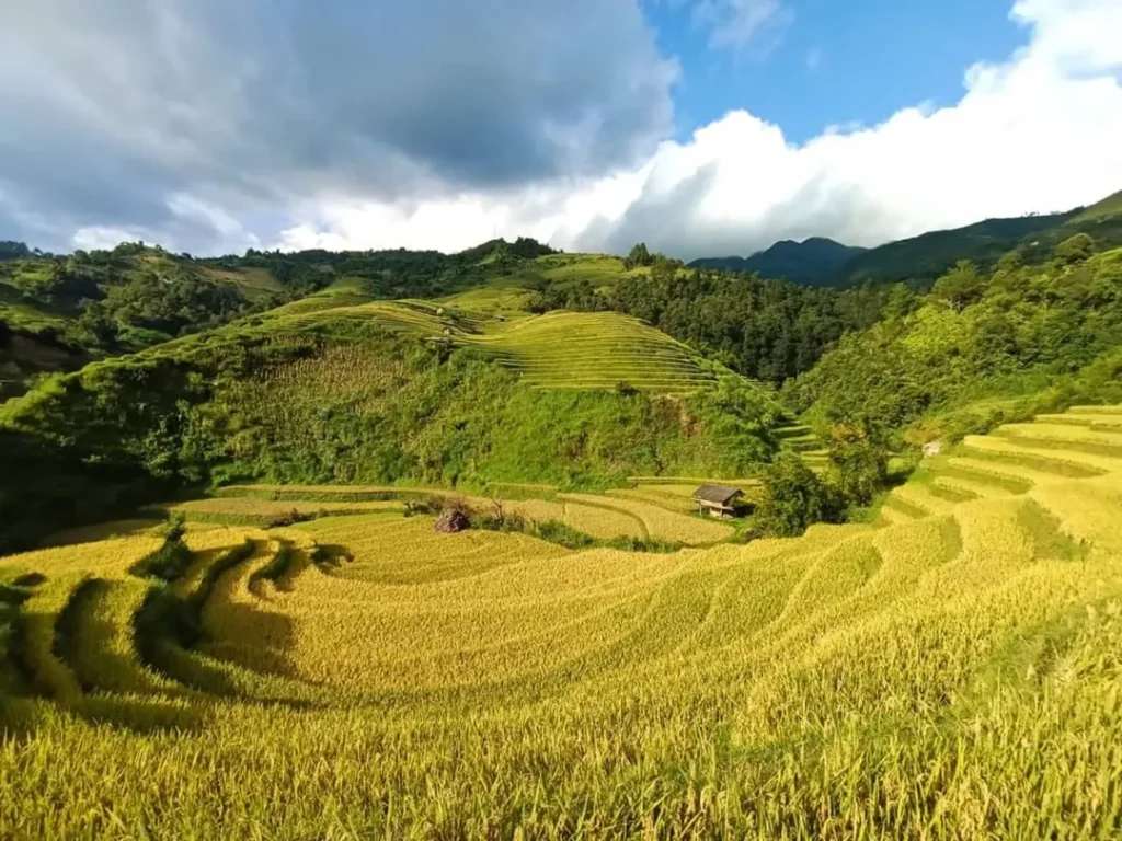 ruộng bậc thang La Pán Tẩn