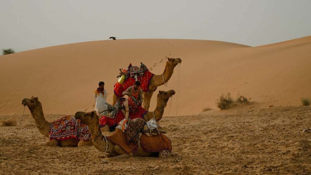 sa mạc Thar