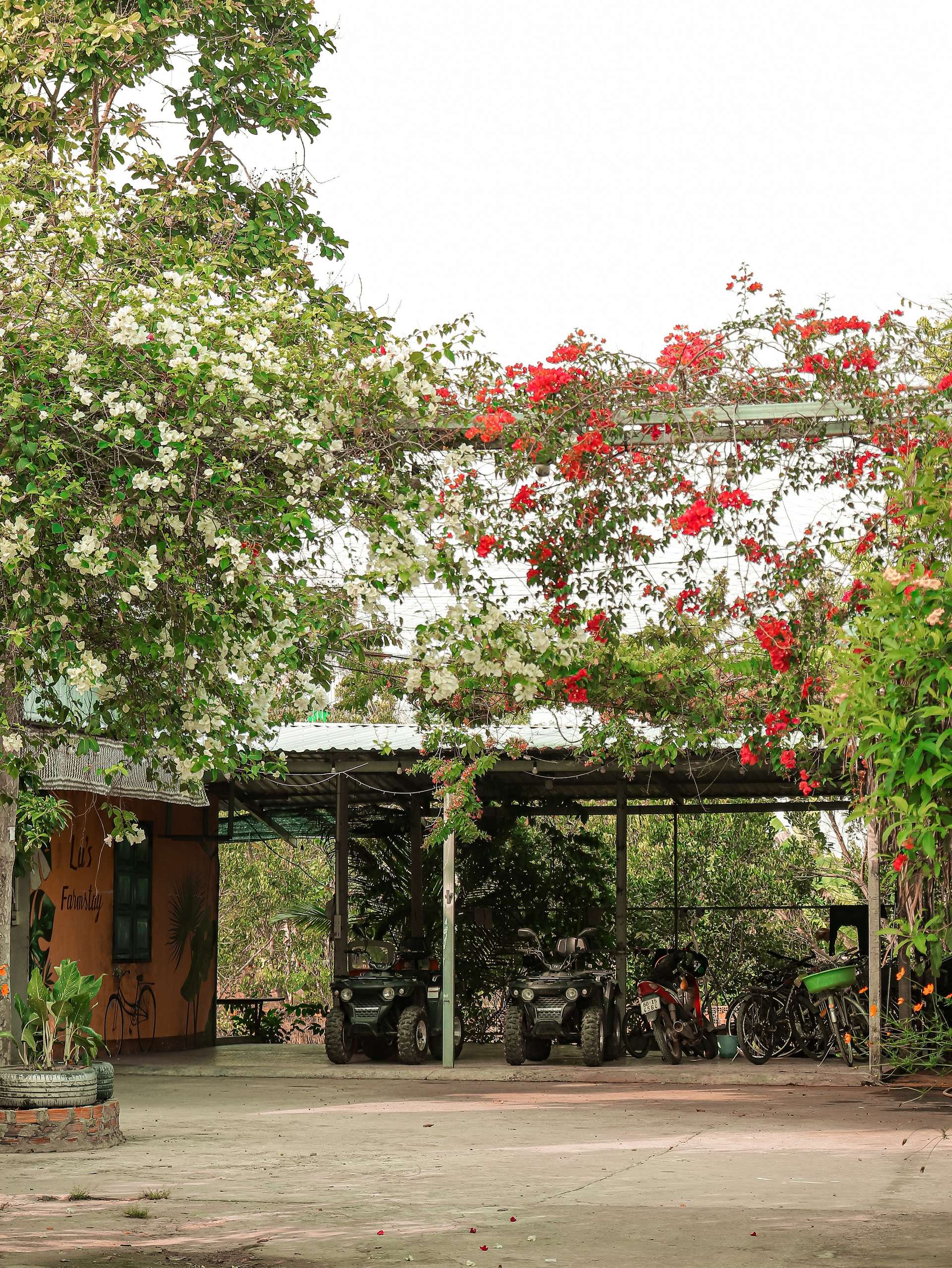 Sài Gòn - Tây Ninh