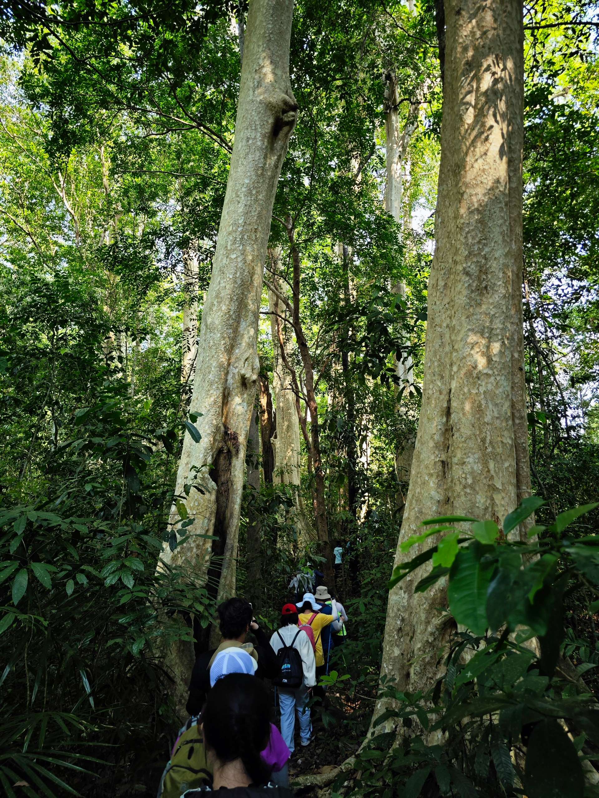 tà lài đồng nai