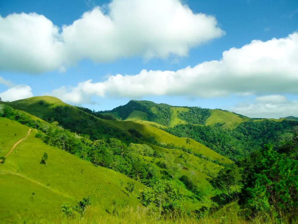 Tà Năng Phan Dũng vào mùa cỏ xanh